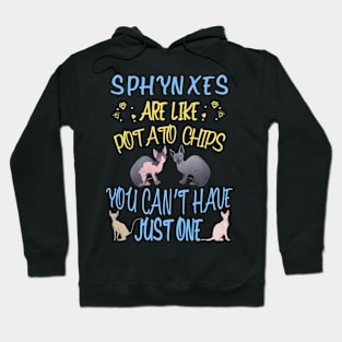 Birthday Gift Idea for Sphynx Lovers Hoodie